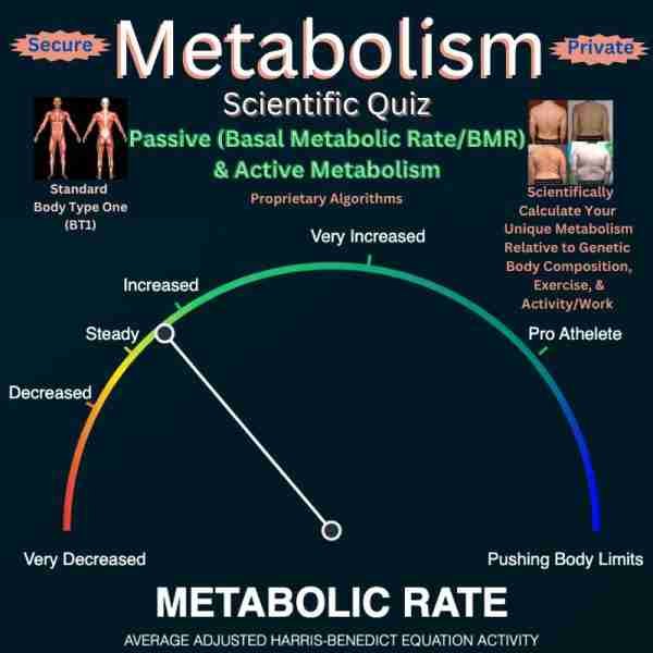 Scientific Metabolism Quiz Score - Passive/Mifflin St Jeor Formula (Basal Metabolic Rate/BMR) and Active/Harris Benedict Equation